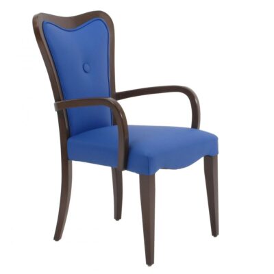 Art-nouveau  Armchair