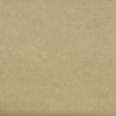 Toray Ultrasuede Sand