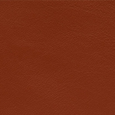 Elmosoft Autumn Leaf