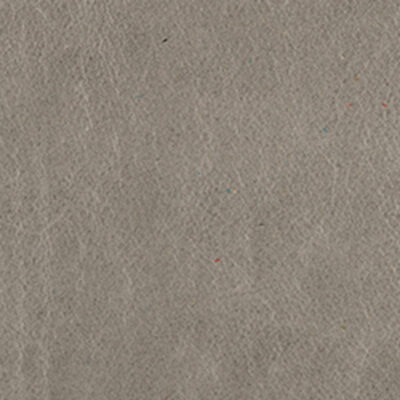 Mont Blanc Limestone