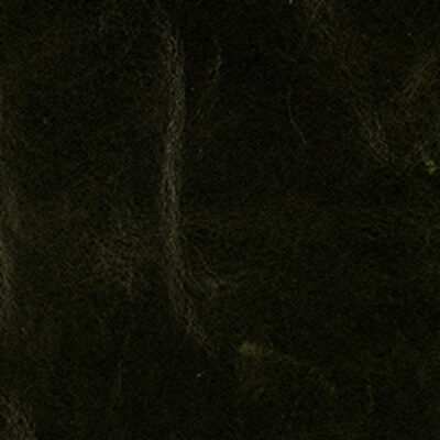 Mont Blanc Winter Pine