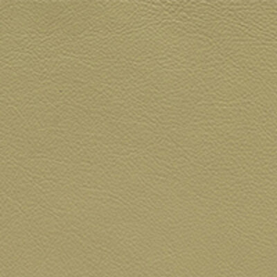 Elmosoft Linden Green