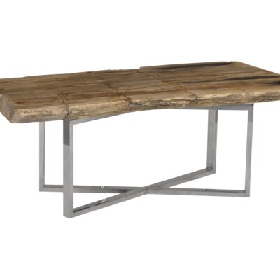 Petrified Wood Coffee Table Stainless Steel Base